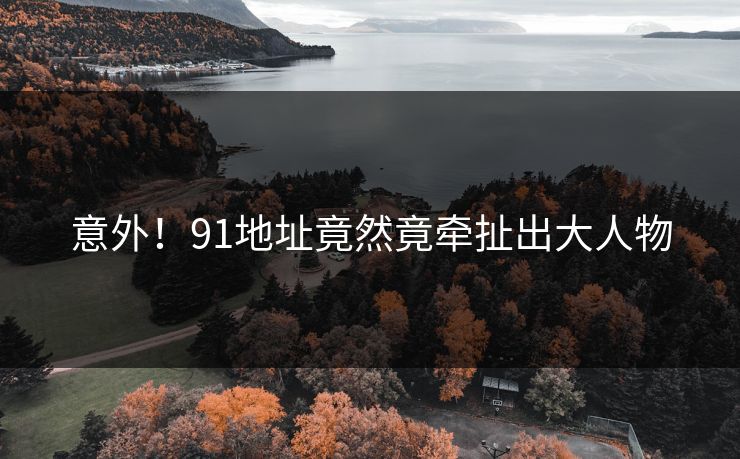 意外！91地址竟然竟牵扯出大人物