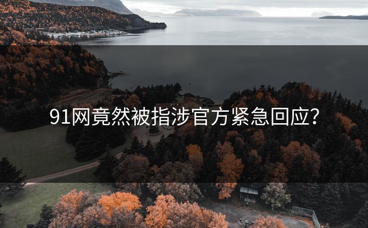 91网竟然被指涉官方紧急回应？
