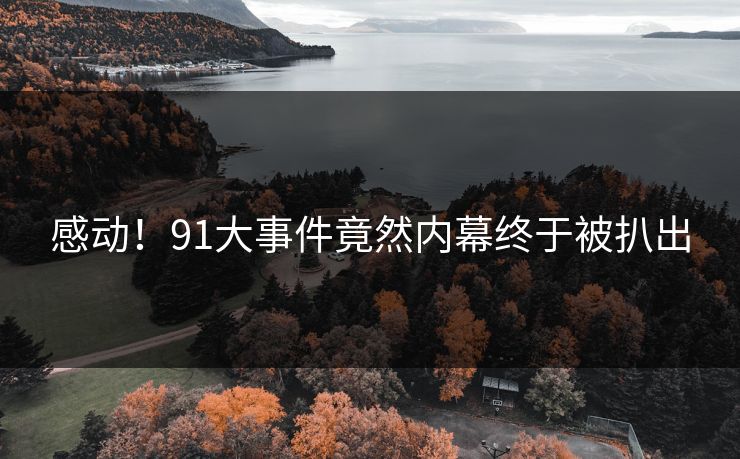 感动！91大事件竟然内幕终于被扒出