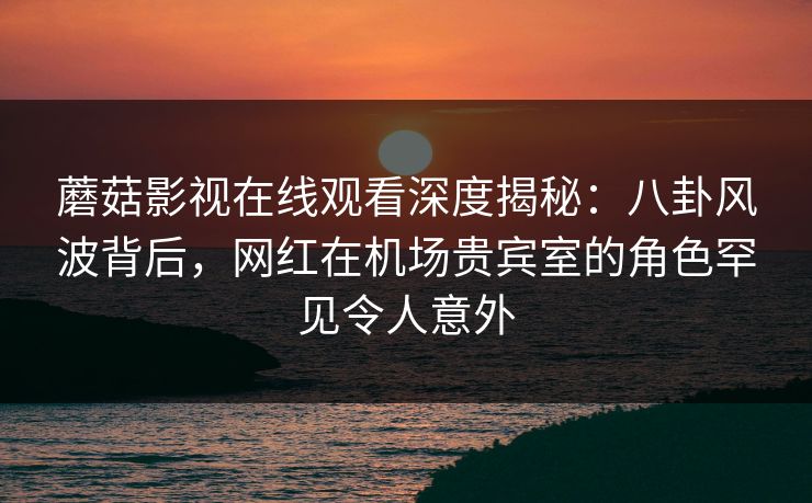 蘑菇影视在线观看深度揭秘：八卦风波背后，网红在机场贵宾室的角色罕见令人意外
