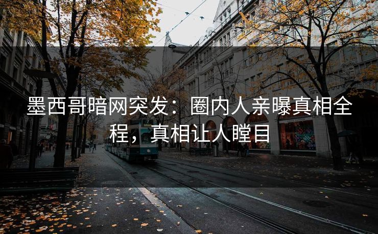 墨西哥暗网突发：圈内人亲曝真相全程，真相让人瞠目